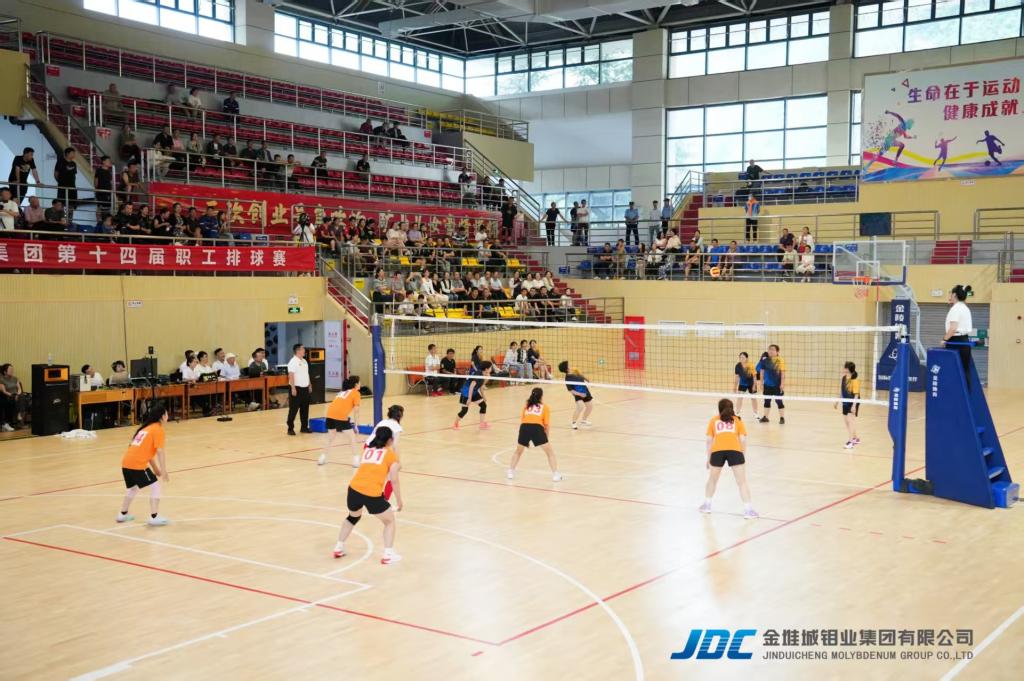 20250818-ʮĽ (2).jpg