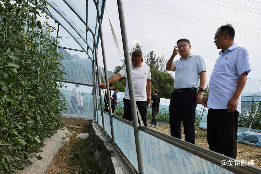 20250721-ű忪չοʵ ƶҵЧ (2).JPG